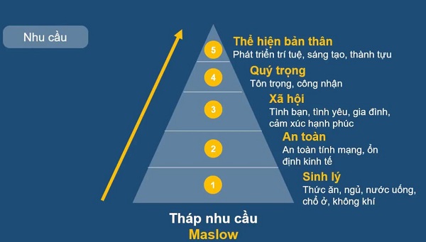 5 tầng cơ bản của tháp nhu cầu Maslow