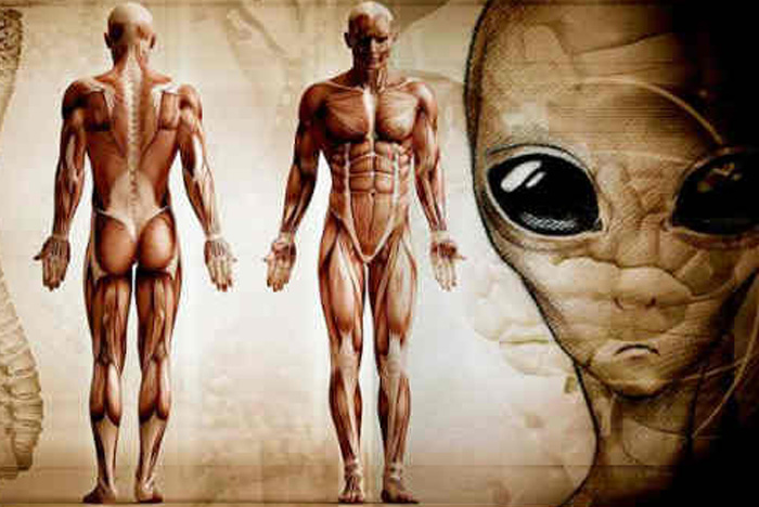 Nguồn gốc còn người, chúng ta từ đâu tới? Rồi sẽ đi đâu và về đâu?