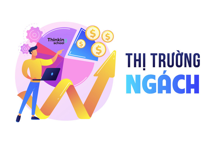 Thị trường ngách là gì? 5+ Yêu cầu khi tham gia thị trường ngách
