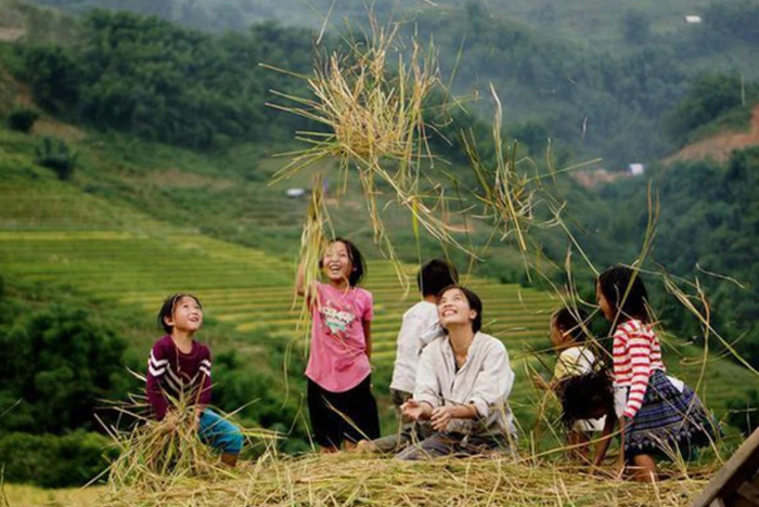 Người trẻ bỏ phố về quê thách thức và cơ hội