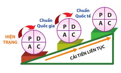 PDCA là gì? Ý nghĩa và các giai đoạn trong chu trình PDCA