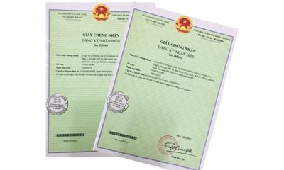 Quy định về thủ tục liên quan đến văn bằng bảo hộ nhãn hiệu