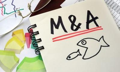 M&A là gì? Các hình thức và quy trình thực hiện