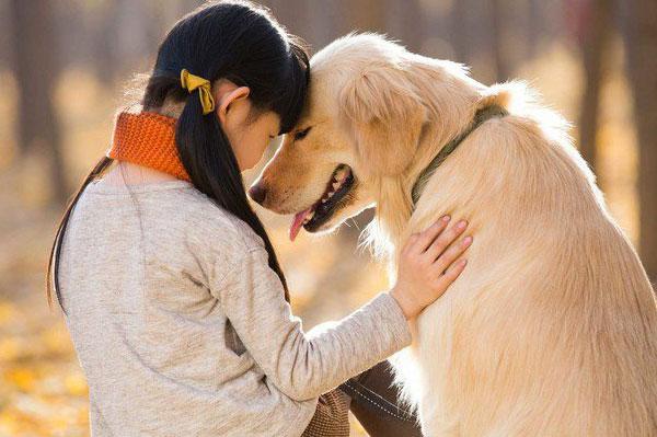 Chó là gì? Lý do không nên nuôi chó quá 8 năm bạn không nên bỏ lỡ