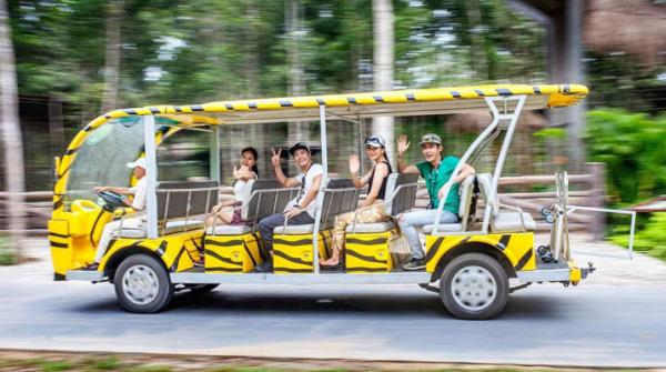 Du Lịch Bằng Xe Điện: Lưu Ý Quan Trọng Để Có Trải Nghiệm Tốt Nhất