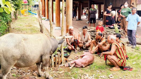 Lễ cúng Trỉa lúa: Nét độc đáo của người Brâu