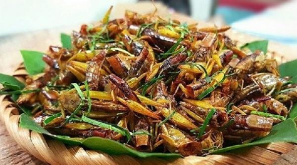 Muồm Muỗm Rang Mường Lò: Món Ăn Độc Đáo Đậm Chất Núi Rừng