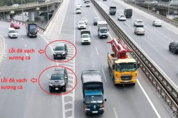 Những quy định mới về vạch xương cá năm