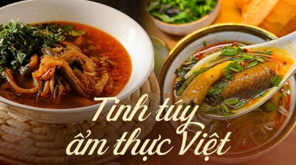 Súp Lươn: Lợi Ích dinh dưỡng & cách nấu chuẩn vị Nghệ An