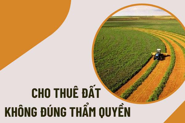 Thuê đất không đúng thẩm quyền có bị thu hồi không?