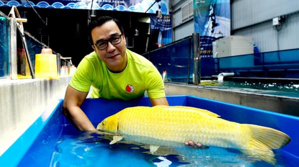 Vua cá Koi Thắng Ngô – Giám đốc thương hiệu Ruby Koi Farm