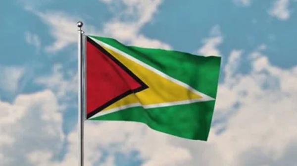 Ý nghĩa cờ Guyana: Thông điệp sâu sắc ârn sau 3 màu sắc