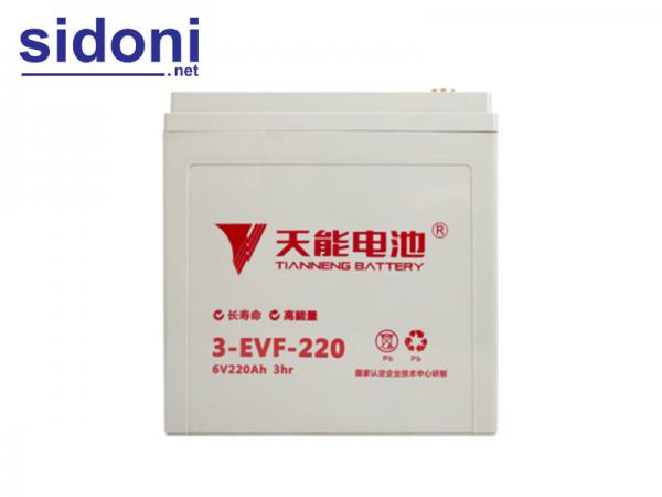 Ắc quy xe điện TIANNENG 3-EVF-220 6V220AH