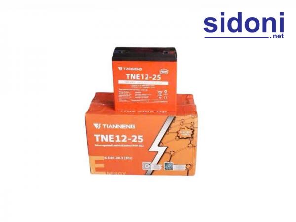Ắc quy xe máy điện TNE 12V 25AH