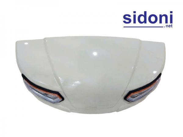 Mặt nhựa xe điện chở khách LEROAD 