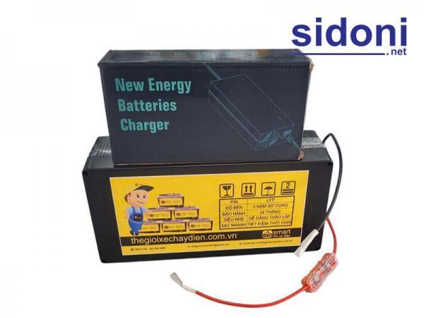 Pin LFP xe điện Smart 48V 20Ah