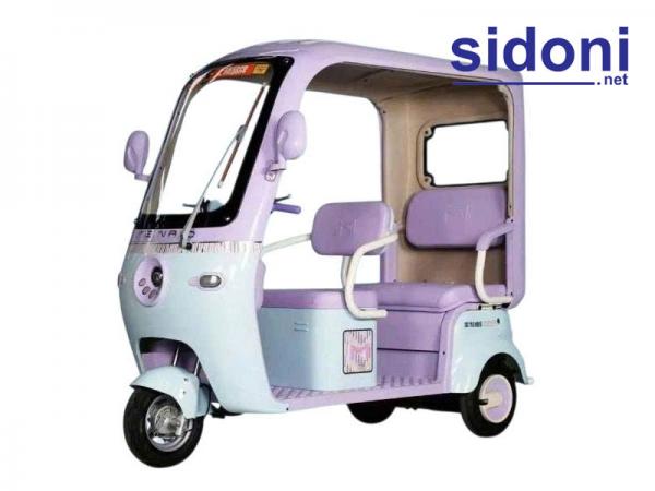 Xe 3 bánh điện mái che Vnbike J2 tím