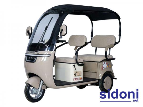 Xe 3 bánh điện Neinal PNT nâu