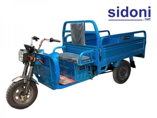 Xe 3 bánh điện nhập khẩu PT 500kg