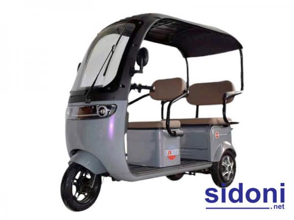 Xe 3 bánh điện Vogue 2 chỗ ngồi mái che