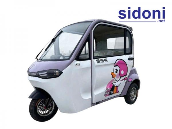 Xe 3 bánh gia đình Smart H1