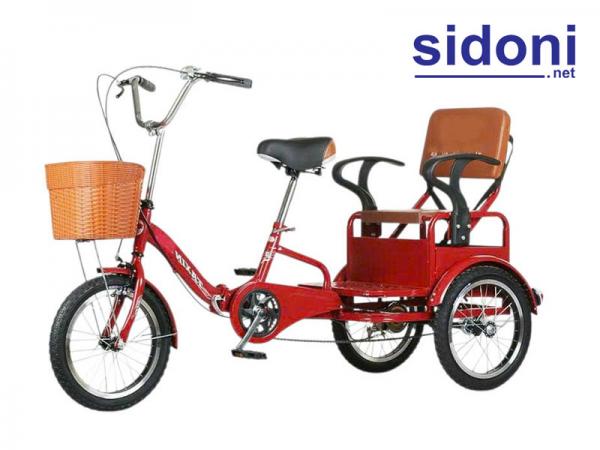 Xe đạp 3 bánh chở người Smart F3