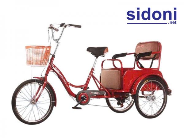 Xe đạp 3 bánh Smart D3