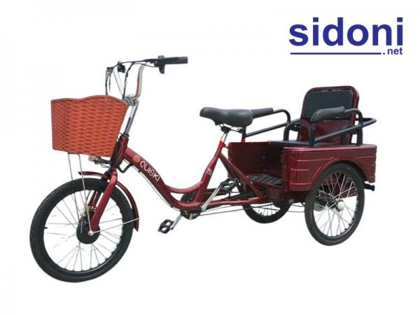Xe đạp 3 bánh trợ lực điện Smart S2