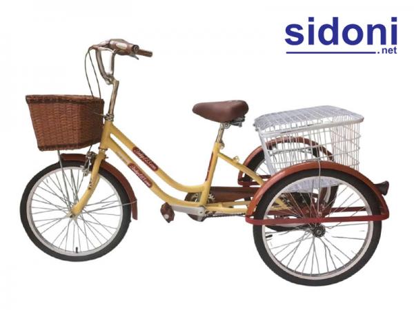 Xe đạp ba bánh cho người già Smart H2