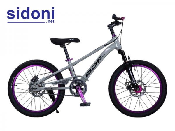 Xe đạp DBF V8 xám