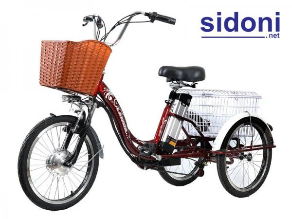 Xe đạp điện 3 bánh trợ lực