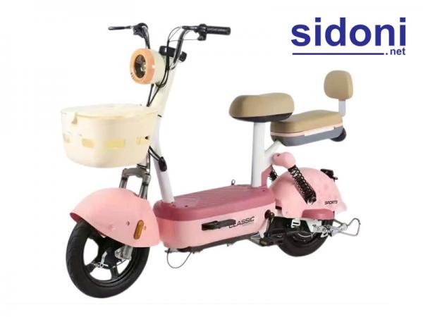 Xe đạp điện Aiyo P1