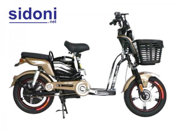 Xe đạp điện AVA X2 đồng