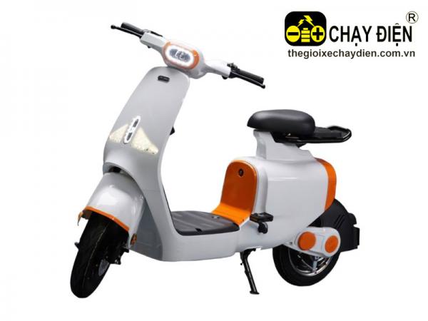 XE ĐẠP ĐIỆN DKBIKE S1 TRẮNG