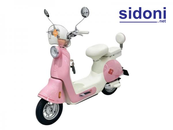 Xe đạp điện TAILG JS50