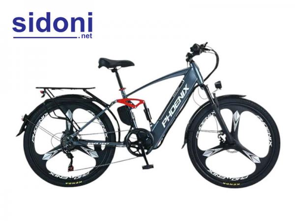 Xe đạp điện trợ lực Phoenix Q1 15Ah