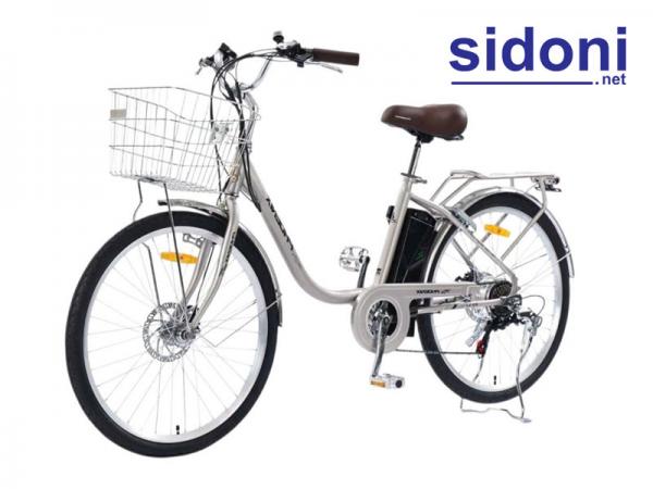Xe đạp điện trợ lực Phoenix Z1