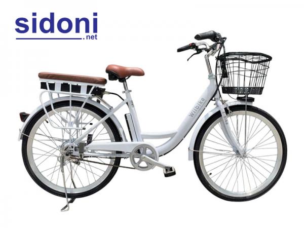 Xe đạp trợ lực điện WiiBike Mira Pro