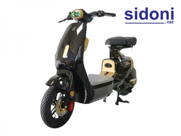 Xe điện Lihaze V1 Plus đen bóng