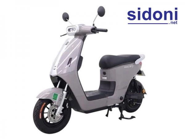 Xe điện PACEO xám xi măng