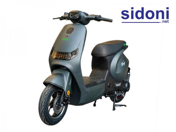 Xe điện Pega Wings