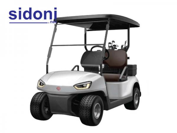 Xe điện sân Golf  2 chỗ ngồi THDT2