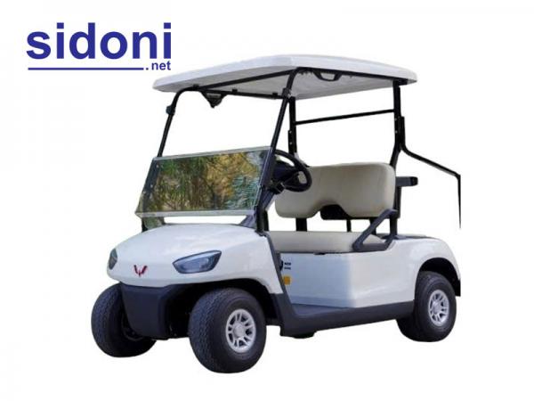 Xe điện sân Golf Wuling WLDT2