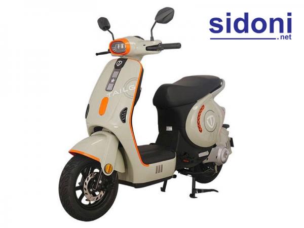 Xe điện TAILG GR58