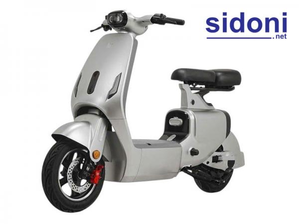 Xe điện V1 Plus MV