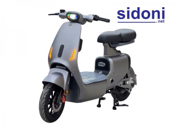 Xe điện V1 Plus