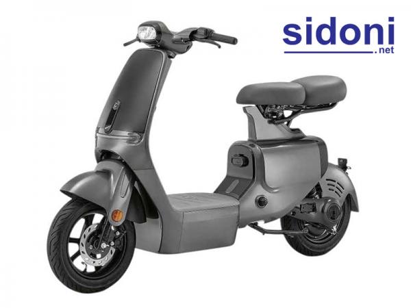 Xe điện VC Pro xám