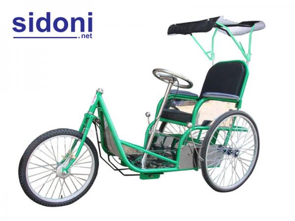 Xe lắc tay mái che Smart DC2