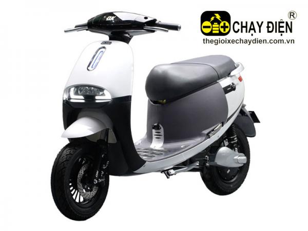 XE MÁY ĐIỆN DK GOGO SUPER TRẮNG