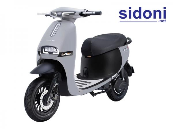 Xe máy điện GOGO FIONA bạc